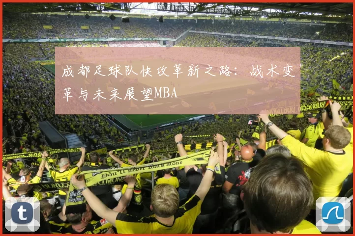 成都足球队快攻革新之路：战术变革与未来展望MBA