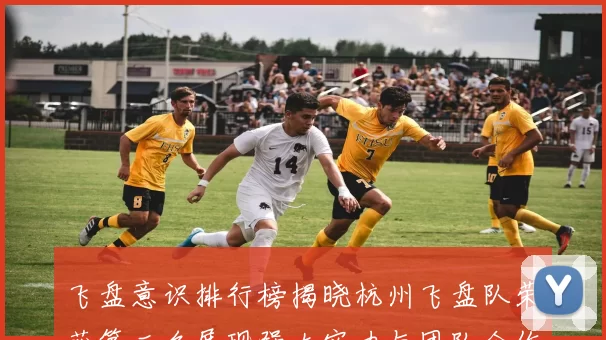 飞盘意识排行榜揭晓杭州飞盘队荣获第二名展现强大实力与团队合作精神MBA